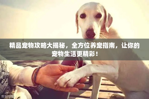 精品宠物攻略大揭秘，全方位养宠指南，让你的宠物生活更精彩！