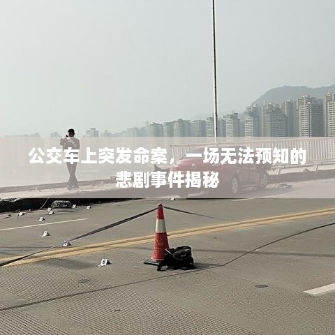 公交车上突发命案，一场无法预知的悲剧事件揭秘