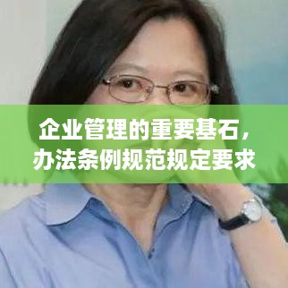 企业管理的重要基石，办法条例规范规定要求全解析
