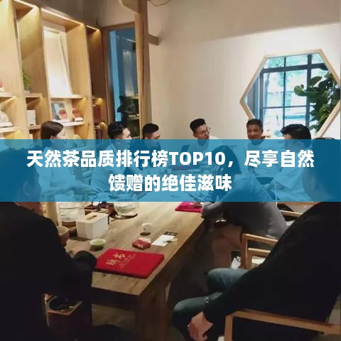 天然茶品质排行榜TOP10，尽享自然馈赠的绝佳滋味