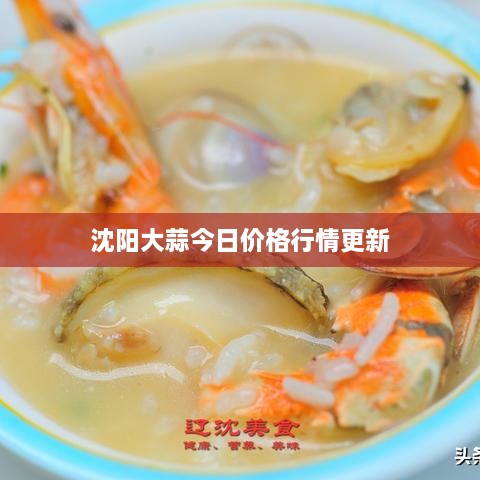 沈阳大蒜今日价格行情更新