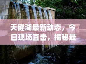 伤弓之鸟