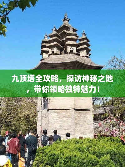 飞红滴翠