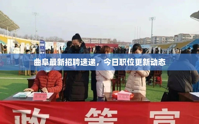 曲阜最新招聘速递，今日职位更新动态