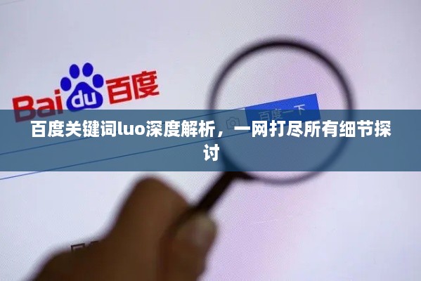 百度关键词luo深度解析，一网打尽所有细节探讨