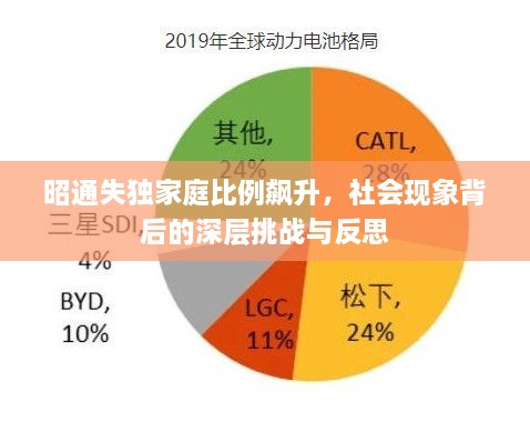 昭通失独家庭比例飙升，社会现象背后的深层挑战与反思
