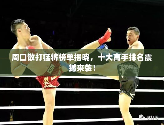 周口散打猛将榜单揭晓，十大高手排名震撼来袭！