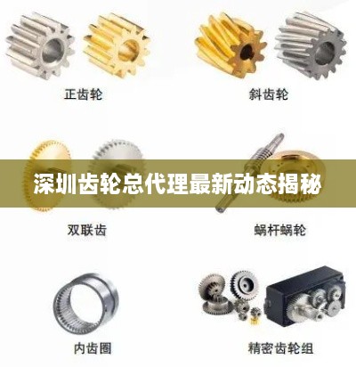 深圳齿轮总代理最新动态揭秘
