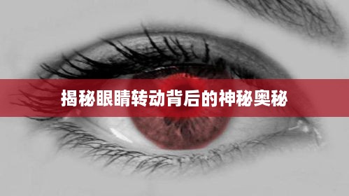 揭秘眼睛转动背后的神秘奥秘
