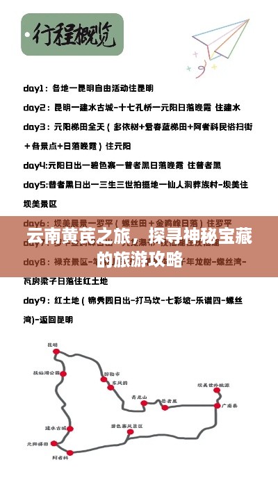 云南黄芪之旅，探寻神秘宝藏的旅游攻略