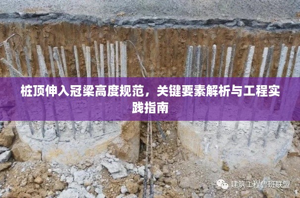桩顶伸入冠梁高度规范，关键要素解析与工程实践指南