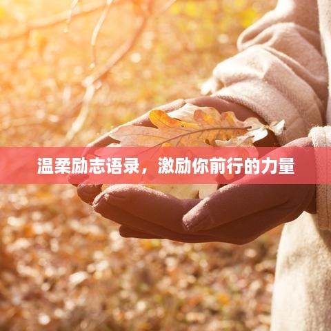 温柔励志语录，激励你前行的力量