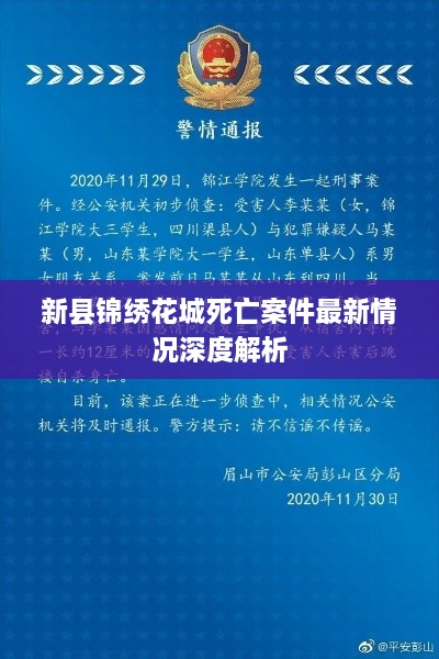 新县锦绣花城死亡案件最新情况深度解析