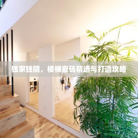 独家独院，楼梯瓷砖精选与打造攻略