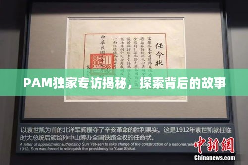 PAM独家专访揭秘，探索背后的故事