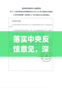 落实中央反馈意见，深化理解与有效执行的实践之路