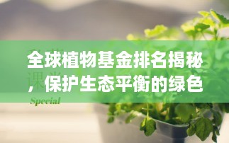 全球植物基金排名揭秘，保护生态平衡的绿色力量重磅解读！