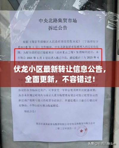蛙鸣蝉噪