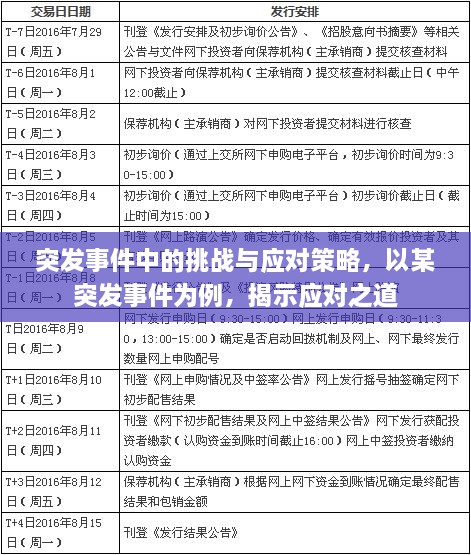 突发事件中的挑战与应对策略，以某突发事件为例，揭示应对之道