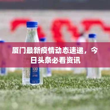 厦门最新疫情动态速递，今日头条必看资讯