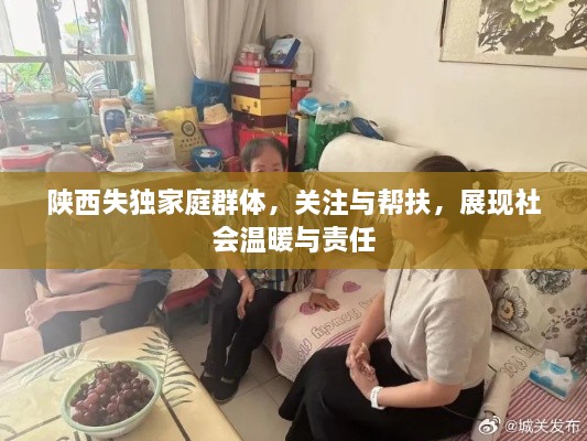 陕西失独家庭群体，关注与帮扶，展现社会温暖与责任