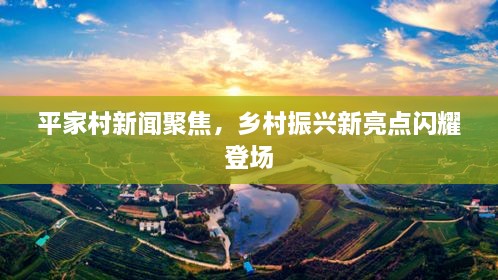平家村新闻聚焦，乡村振兴新亮点闪耀登场