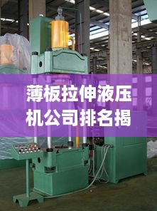 鸟革翬飞