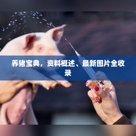 养猪宝典，资料概述、最新图片全收录