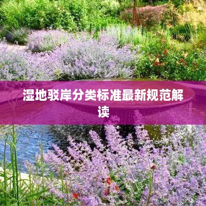 湿地驳岸分类标准最新规范解读
