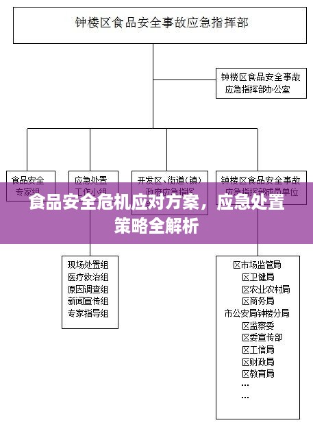 食品安全危机应对方案，应急处置策略全解析