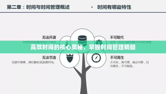 高效时间的核心奥秘，掌握时间管理精髓
