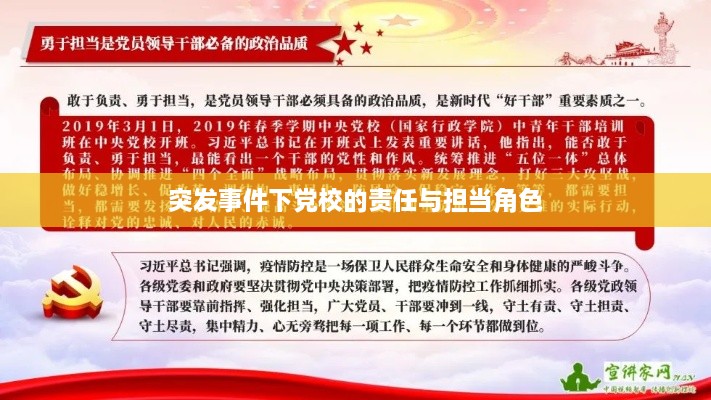 小鸟伊人