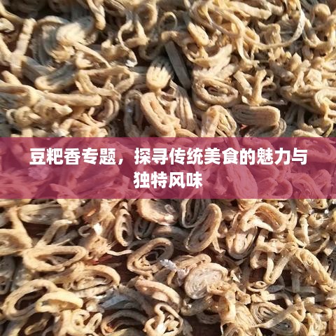 豆粑香专题，探寻传统美食的魅力与独特风味