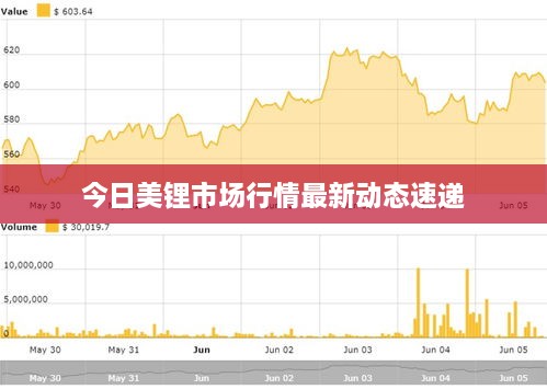 今日美锂市场行情最新动态速递