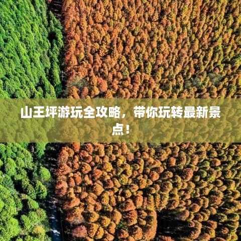 山王坪游玩全攻略，带你玩转最新景点！