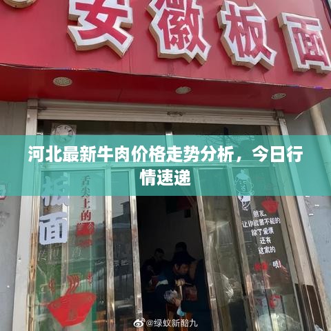 河北最新牛肉价格走势分析，今日行情速递