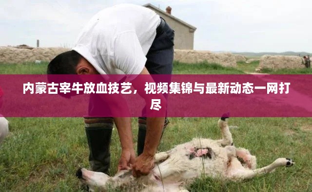 内蒙古宰牛放血技艺，视频集锦与最新动态一网打尽
