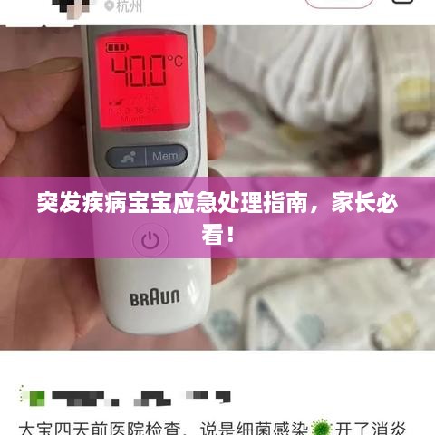 美文 第12页