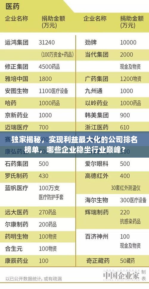 独家揭秘，实现利益最大化的公司排名榜单，哪些企业稳坐行业巅峰？
