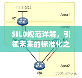 SIL0规范详解，引领未来的标准化之路