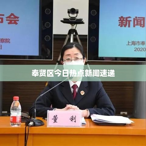 奉贤区今日热点新闻速递