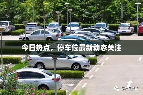 今日热点，停车位最新动态关注