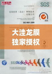 大洼龙膜独家授权，品质与专业服务的完美融合