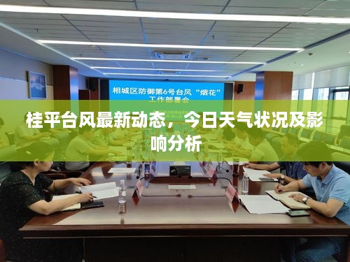 桂平台风最新动态，今日天气状况及影响分析