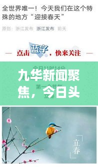 九华新闻聚焦，今日头条与热点解析最新动态
