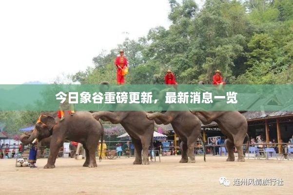 今日象谷重磅更新，最新消息一览