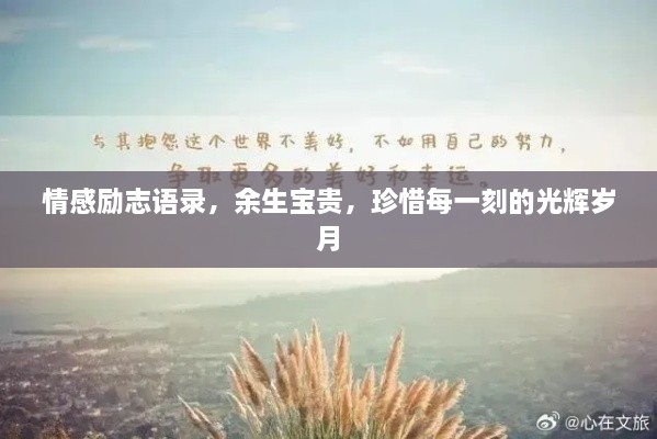 草率从事