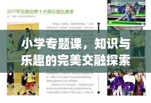 小学专题课，知识与乐趣的完美交融探索