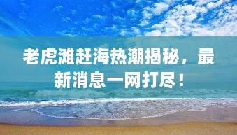 十全十美