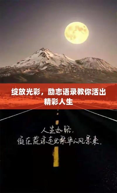 绽放光彩，励志语录教你活出精彩人生